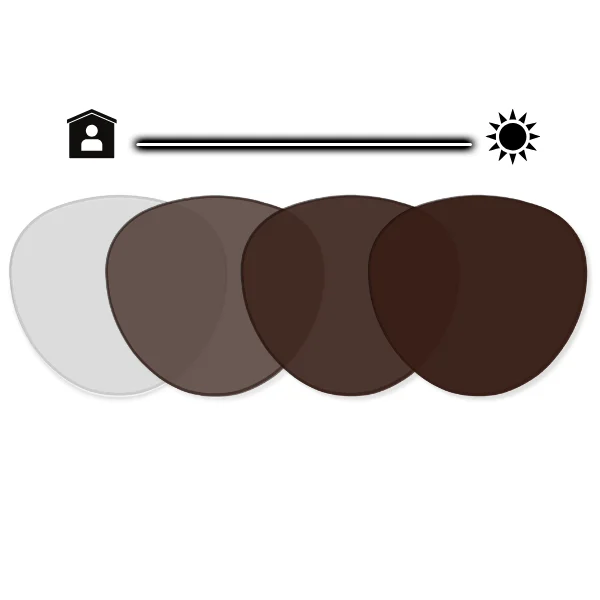 PANTO Brown TRANSITION GEN S
